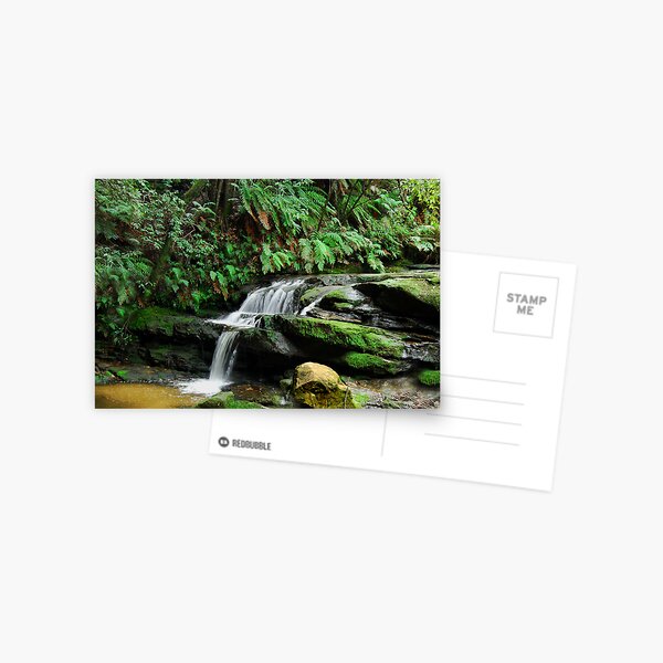 Leura Cascade NSW Australia Postcard
