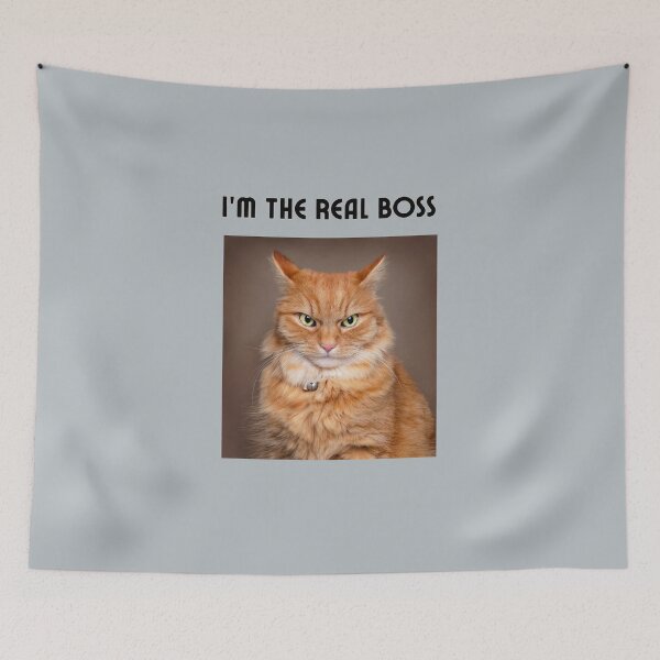 Item preview, Cat themed tshirts, shirts with cats on them designed and sold by Teeandnat.