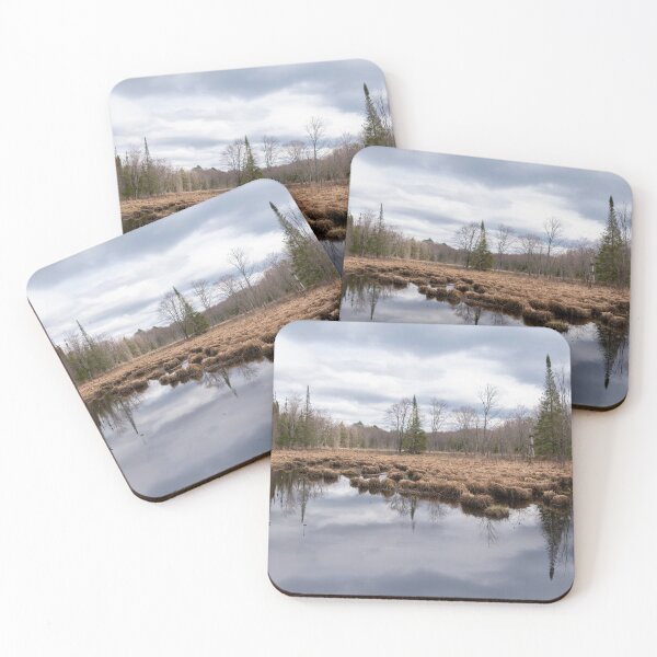 Item preview, Desolate Swamp in a Forest in Ontario designed and sold by jrtwynam.