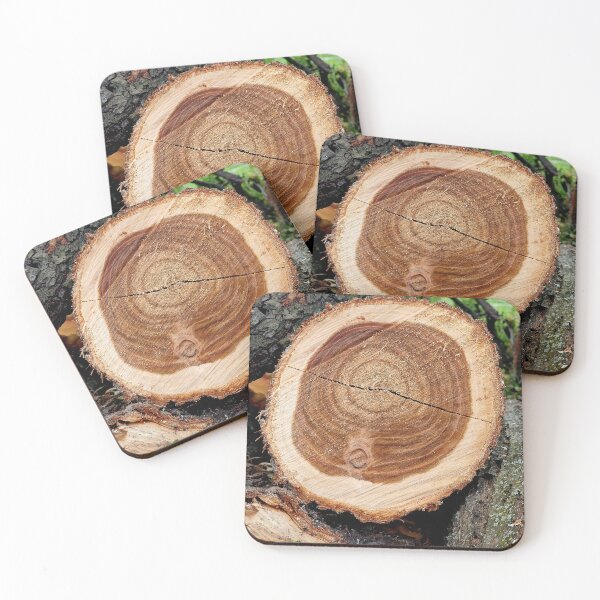 Item preview, cross section of the tree designed and sold by IgorKovalenko.