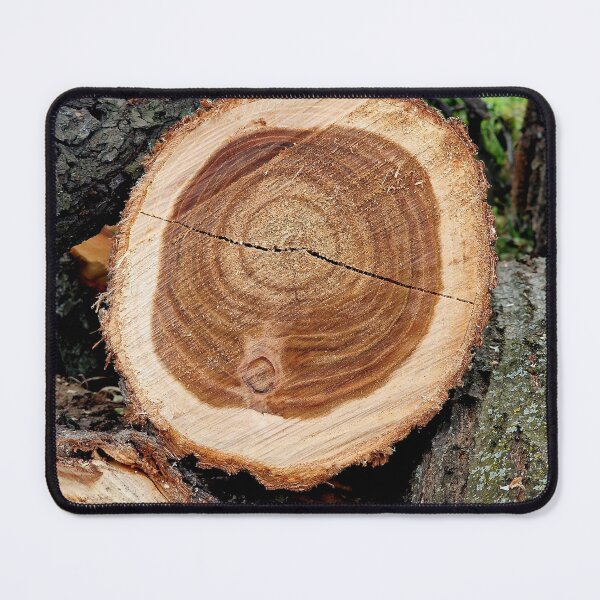 Item preview, cross section of the tree designed and sold by IgorKovalenko.