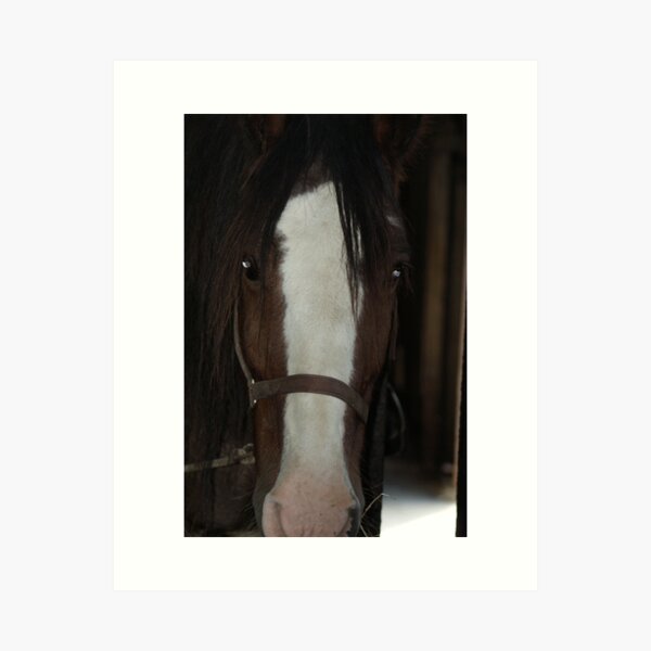 Item preview, Horse designed and sold by marallahfaith.