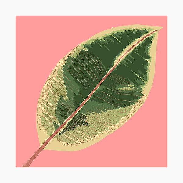 Item preview, rubber tree2 designed and sold by Eastspacebubble.