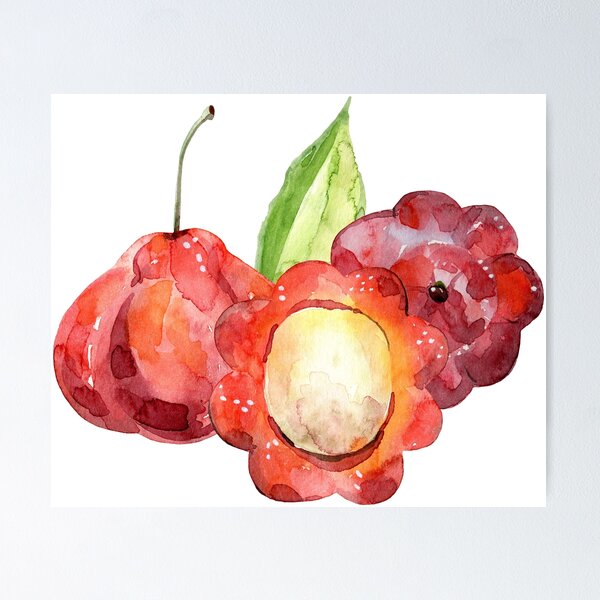 Artikelvorschau, Watercolor pitanga entworfen und verkauft von tapilipa.