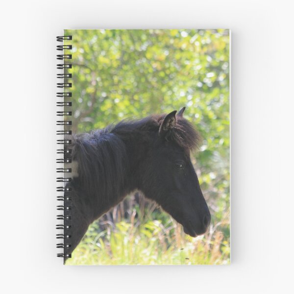 Item preview, A Wild Horse of Assateague designed and sold by Alison Hindenlang.