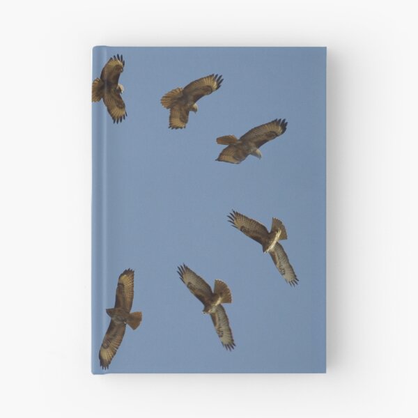 Item preview, Buzzards art  designed and sold by Simon-dell.