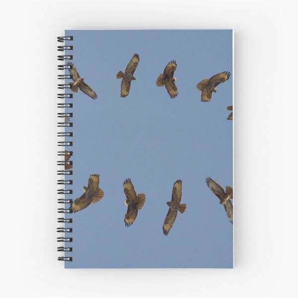 Item preview, Buzzards art  designed and sold by Simon-dell.