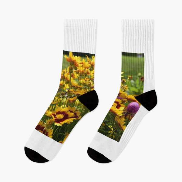 Item preview, Windblown Tickseed Blooms designed and sold by MercerImages.