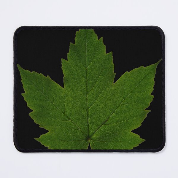 Item preview, Maple Leaf designed and sold by IgorKovalenko.
