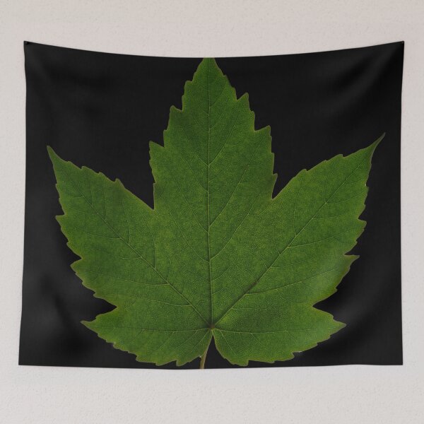 Item preview, Maple Leaf designed and sold by IgorKovalenko.