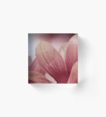 Japanische Magnolie Acrylblock