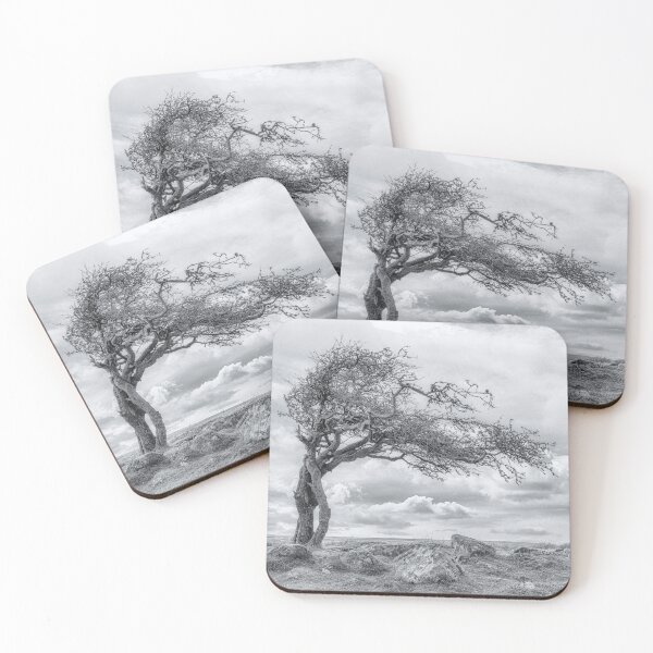Item preview, Combestone Tor Tree, Dartmoor in Black and White designed and sold by JoSowden.