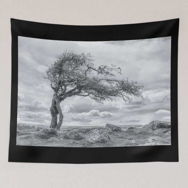 Item preview, Combestone Tor Tree, Dartmoor in Black and White designed and sold by JoSowden.