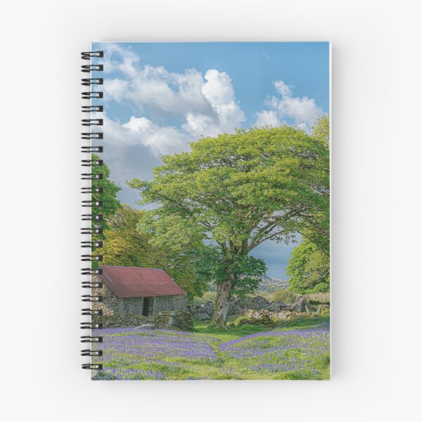 Item preview, Bluebells at Emsworthy Mire. Dartmoor designed and sold by JoSowden.
