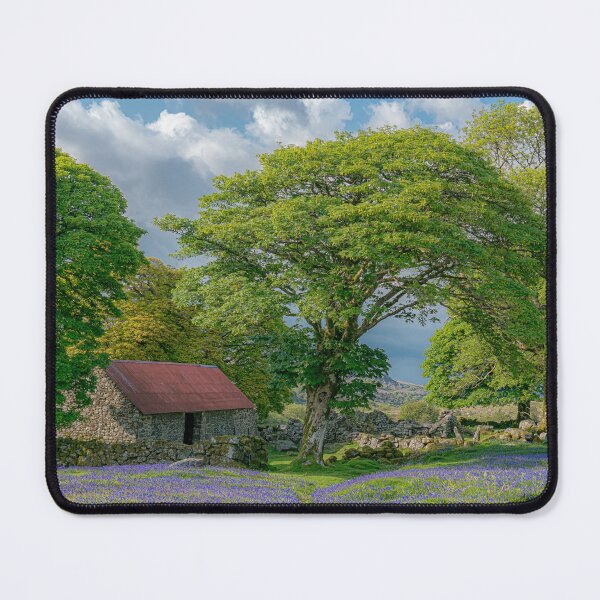 Item preview, Bluebells at Emsworthy Mire. Dartmoor designed and sold by JoSowden.
