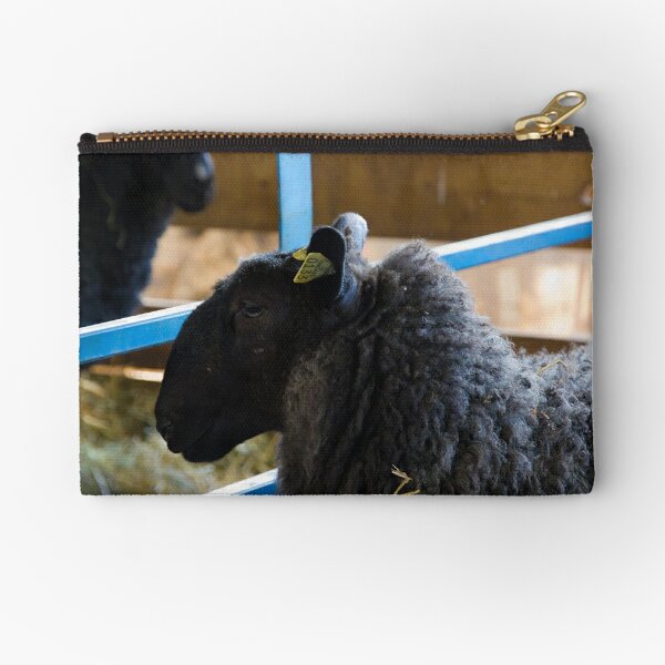 Rainbow Sheep Zippered Pouch – Precious Knits Shop