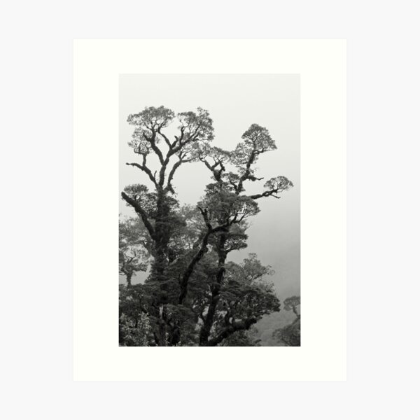 Item preview, Mountain Fog designed and sold by Alison Hindenlang.
