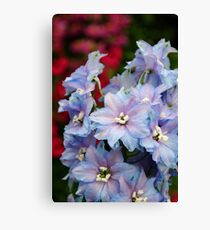 Purple Flowers Canvas Print