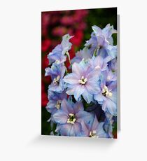 Purple Flowers Greeting Card