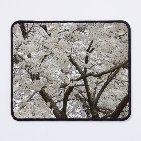 Item preview, Cherry Blossom 9 designed and sold by yunee.