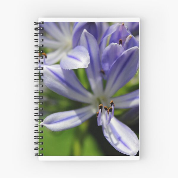 Item preview, Purple Allium in Bloom designed and sold by Alison Hindenlang.