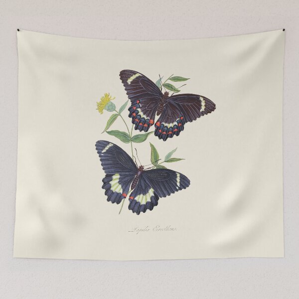 Item preview, Butterflies Scientific Vintage Illustration designed and sold by Lacasadellora.