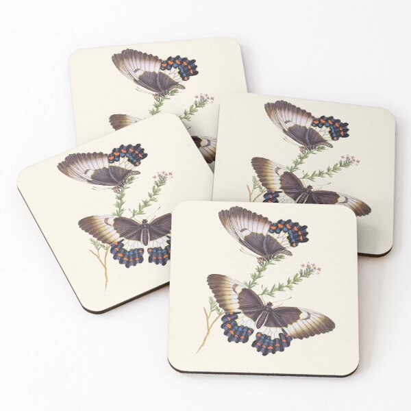 Item preview, Two Butterflies Scientific Vintage Illustration designed and sold by Lacasadellora.