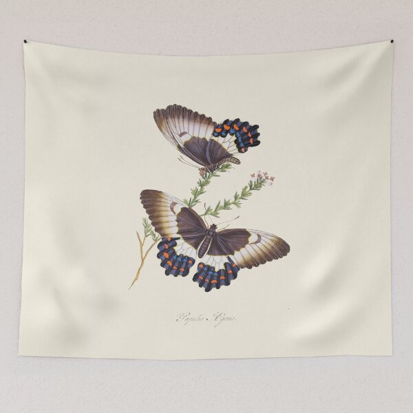 Item preview, Two Butterflies Scientific Vintage Illustration designed and sold by Lacasadellora.