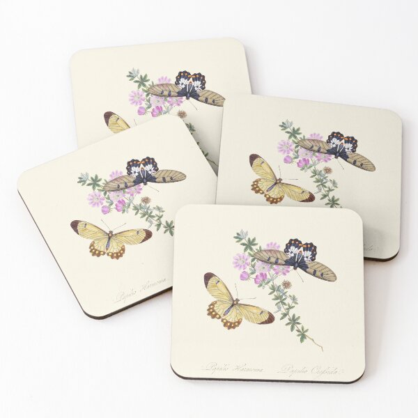 Item preview, Α pair of butterflies Scientific Vintage Illustration designed and sold by Lacasadellora.