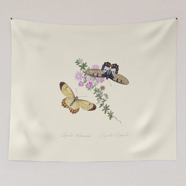 Item preview, Α pair of butterflies Scientific Vintage Illustration designed and sold by Lacasadellora.