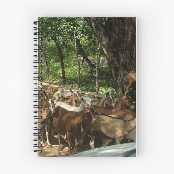 Item preview, Goats from the Brazilian northeastern hinterland designed and sold by felipequeiroz.