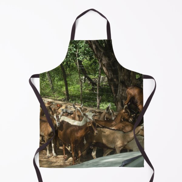 Item preview, Goats from the Brazilian northeastern hinterland designed and sold by felipequeiroz.