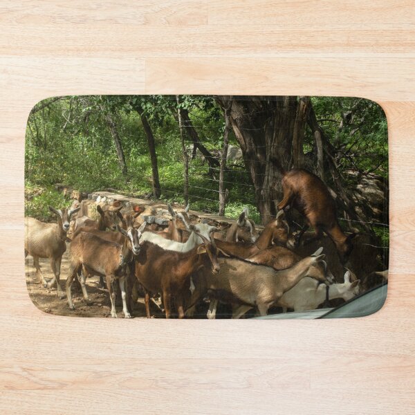 Item preview, Goats from the Brazilian northeastern hinterland designed and sold by felipequeiroz.