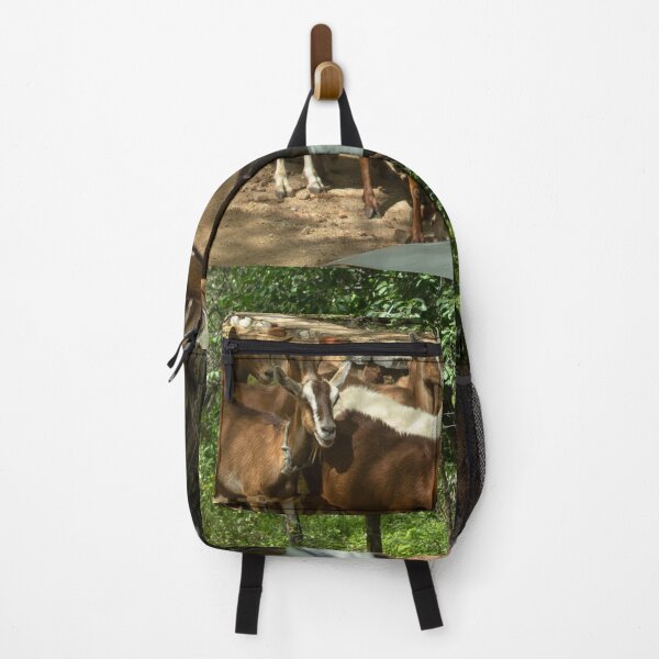 Item preview, Goats from the Brazilian northeastern hinterland designed and sold by felipequeiroz.