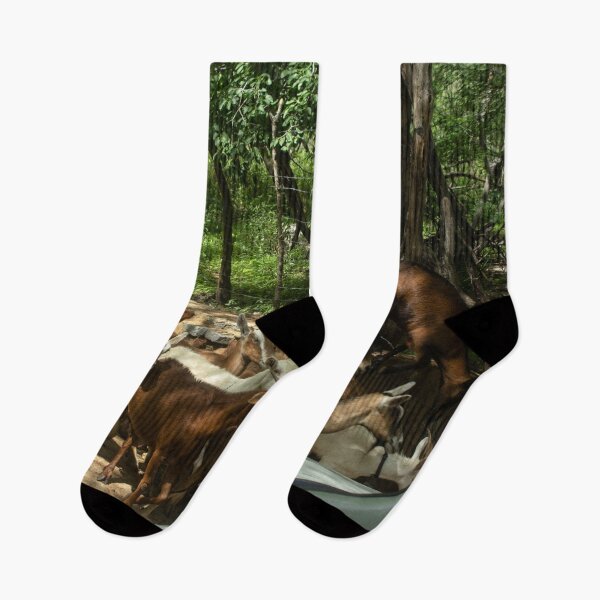 Item preview, Goats from the Brazilian northeastern hinterland designed and sold by felipequeiroz.
