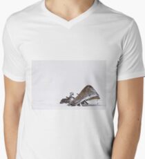 Borgey Men's V-Neck T-Shirt