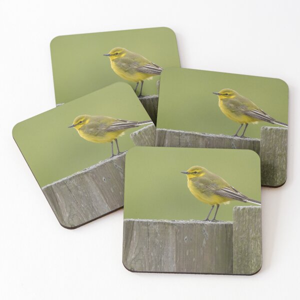 Item preview, Western Yellow Wagtail designed and sold by LaurenTucker.