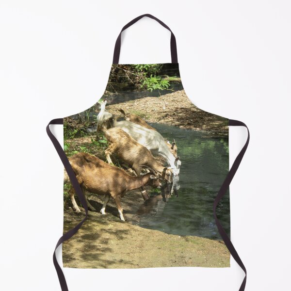 Item preview, Goats from the Brazilian northeastern hinterland drinking water in the stream designed and sold by felipequeiroz.