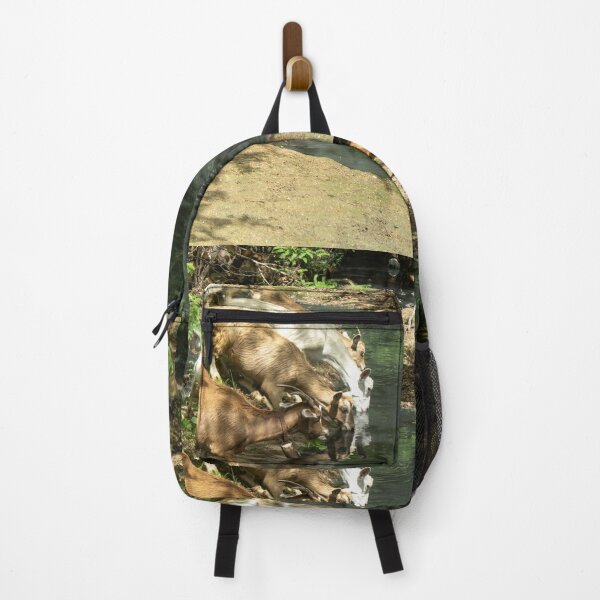 Item preview, Goats from the Brazilian northeastern hinterland drinking water in the stream designed and sold by felipequeiroz.