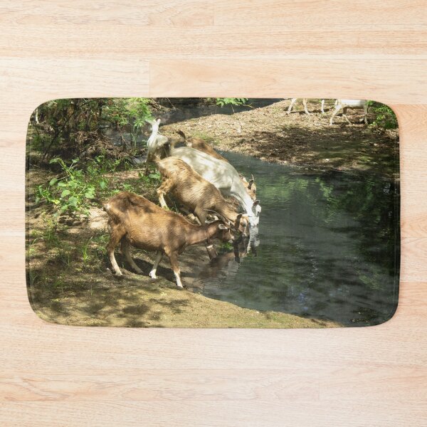 Item preview, Goats from the Brazilian northeastern hinterland drinking water in the stream designed and sold by felipequeiroz.