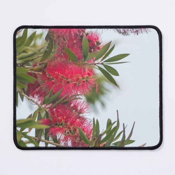 Item preview, Cascading Bottlebrush Blooms designed and sold by Debra Martz.