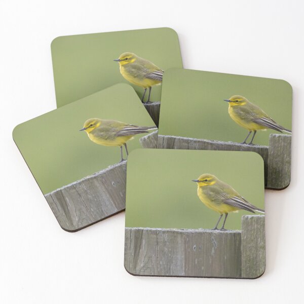 Item preview, Western Yellow Wagtail designed and sold by LaurenTucker.