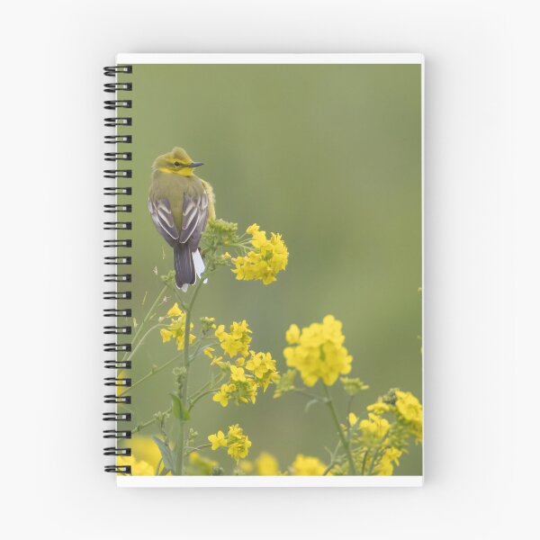 Item preview, Western Yellow Wagtail designed and sold by LaurenTucker.