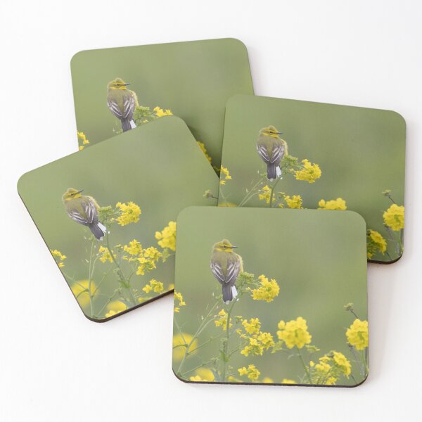 Item preview, Western Yellow Wagtail designed and sold by LaurenTucker.