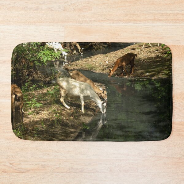 Item preview, Goats from the Brazilian northeastern hinterland drinking water in the stream designed and sold by felipequeiroz.