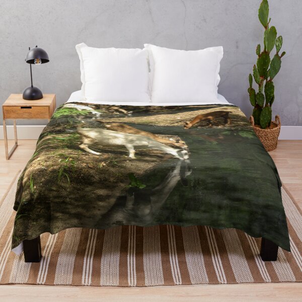 Item preview, Goats from the Brazilian northeastern hinterland drinking water in the stream designed and sold by felipequeiroz.
