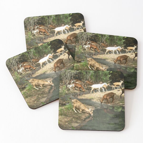 Item preview, Goats from the Brazilian northeastern hinterland drinking water in the stream designed and sold by felipequeiroz.