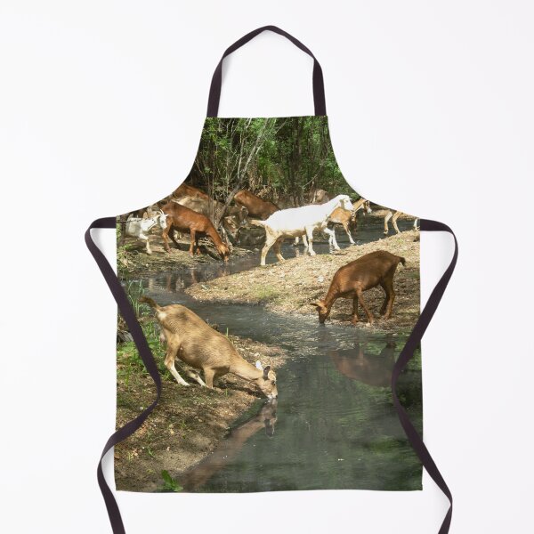 Item preview, Goats from the Brazilian northeastern hinterland drinking water in the stream designed and sold by felipequeiroz.