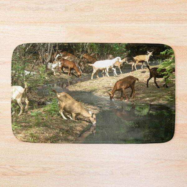 Item preview, Goats from the Brazilian northeastern hinterland drinking water in the stream designed and sold by felipequeiroz.