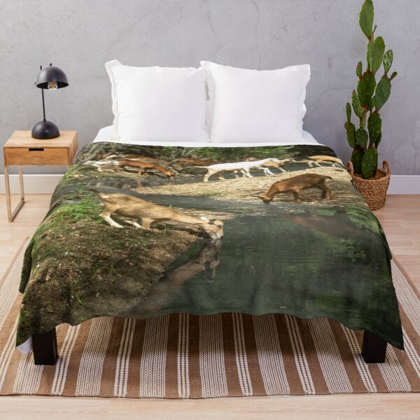 Item preview, Goats from the Brazilian northeastern hinterland drinking water in the stream designed and sold by felipequeiroz.